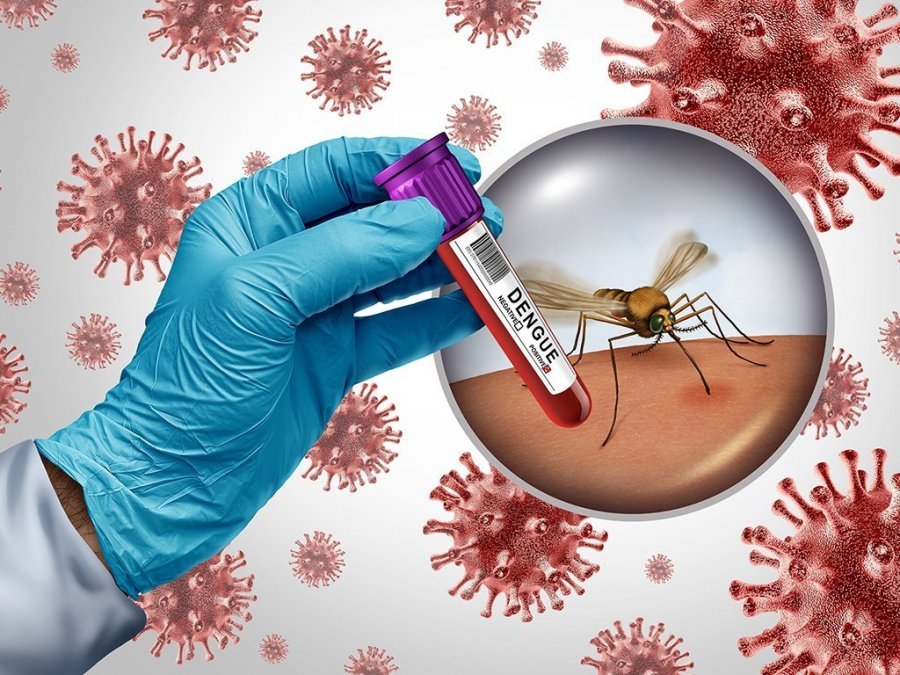 VIRUS ZAPADNOG NILA NASTAVLJA DA SE ŠIRI! Prvi slučaj potvrđen u komšiluku, muškarac (72) zaražen nakon ujeda komarca, završio u bolnici