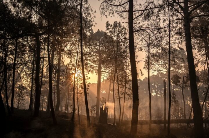 Visoke temperature pale Mađarsku: Građanima upućeno ozbiljno upozorenje