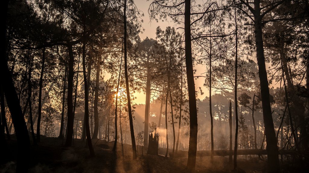 Visoke temperature pale Mađarsku: Građanima upućeno ozbiljno upozorenje