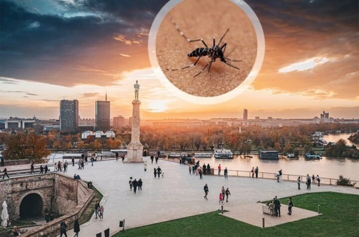 ZARAZA SE ŠIRI SRBIJOM! Batut potvrdio nove slučajeve: SVI PACIJENTI U TEŠKOM STANJU!