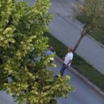 ŽDRALE IZ BLINDIRANOG AUTOMOBILA IZREŠETAO PANDUREVIĆA DOK JE BIO SA DETETOM! Jezivi detalji pucnjave u Istočnom Sarajevu - SVEDOCI U ŠOKU!