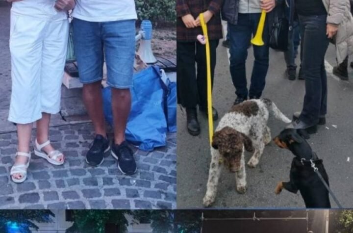 Za rubriku "verovali ili ne": Profesor – ponavljač Mirko Đoković iz Kraljeva ne može da položi ispit za blokaderskog kontrolora!