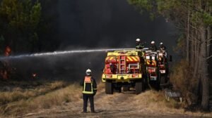 BORBA PROTIV VATRENE STIHIJE: Stavljen pod kontrolu požar u okolini Rudne glave kod Majdanpeka