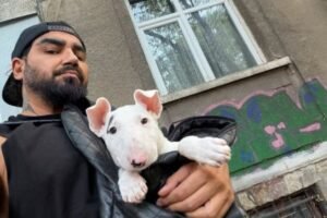Azis