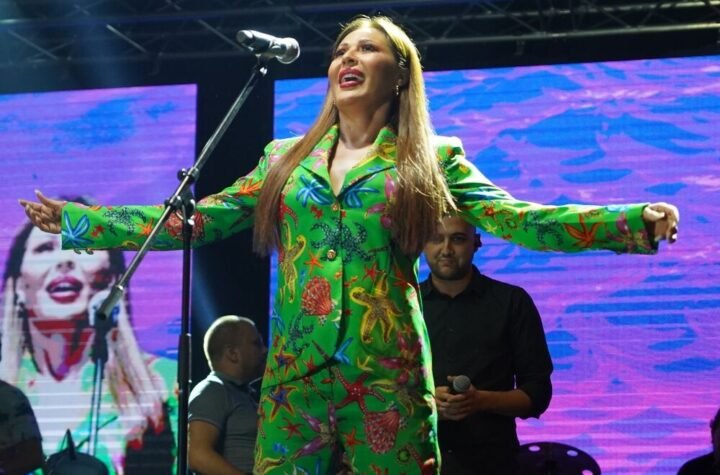 Ceca Ražnatović, Svetlana Ceca Ražnatović
