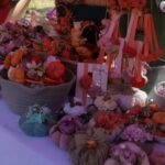 DANI LUDAJE U KIKINDI: Bogat program, karneval i koncert Dragane Mirković!