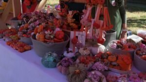 DANI LUDAJE U KIKINDI: Bogat program, karneval i koncert Dragane Mirković!