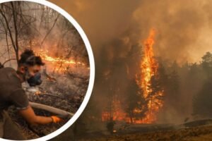 LOŠE VESTI! PONOVO IZBIO POŽAR U DELIBLATSKOJ PEŠČARI: Evo šta je napravilo problem!