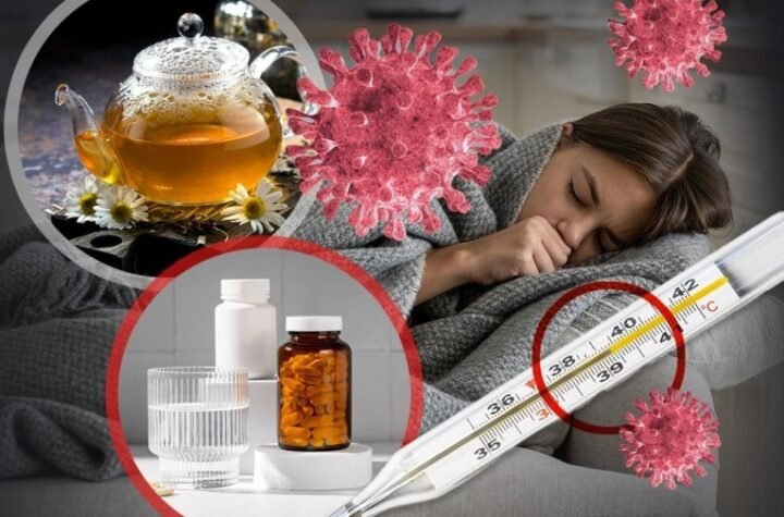 NOVA ŠANSA U BORBI PROTIV GRIPA! Naučnici razvili ekstrakt pelina koji suzbija opasne sojeve H3N2 i H5N1!