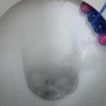Zašto čistačice ubacuju led u wc šolju? Ne treba da se čudite, rešava problem u 10 minuta