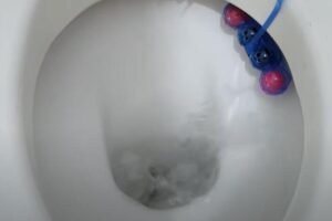 Zašto čistačice ubacuju led u wc šolju? Ne treba da se čudite, rešava problem u 10 minuta