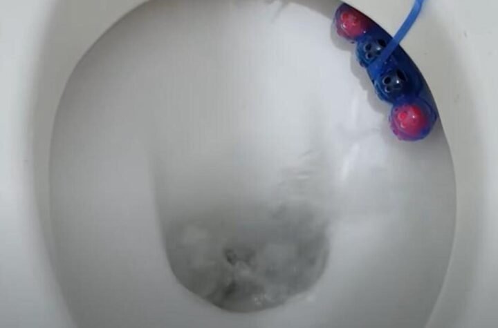 Zašto čistačice ubacuju led u wc šolju? Ne treba da se čudite, rešava problem u 10 minuta
