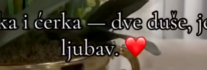 Vesti