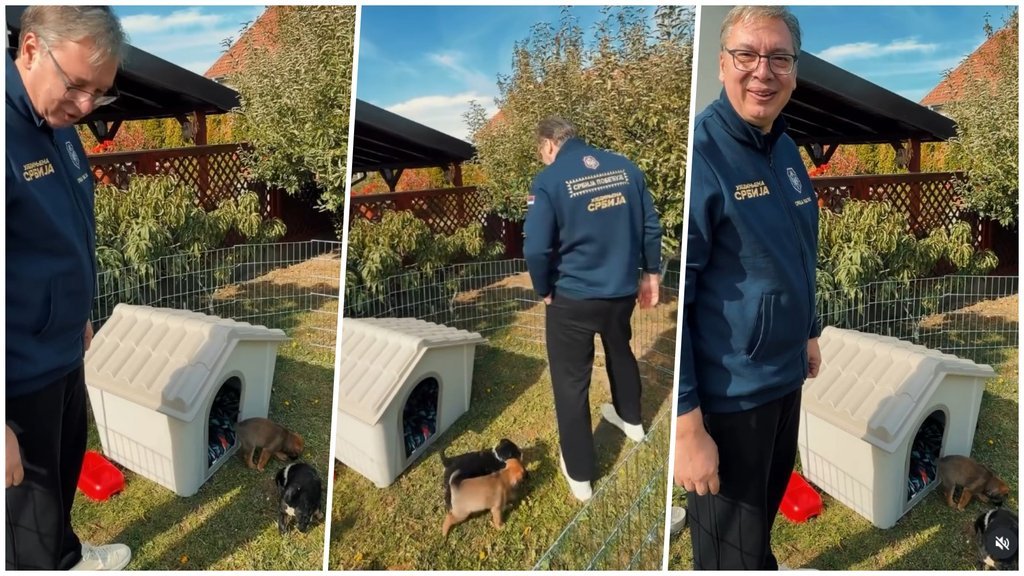 SRAMNO I BEZOBRAZNO: Poganim komentarima na društvenim mrežama udarili na decu Aleksandra Vučića!
