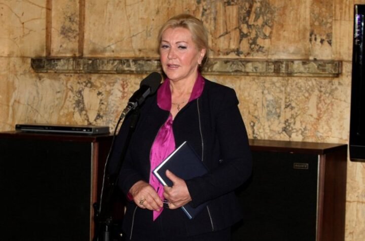Merima Njegomir, pevačica