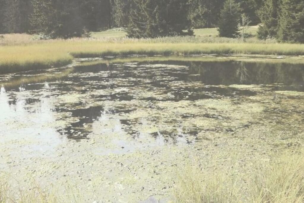 Svatovi ga prelazili, pa nestali bez traga! Ovo jezero na Goliji krije misteriju! Evo šta kažu legende