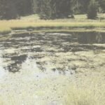 Svatovi ga prelazili, pa nestali bez traga! Ovo jezero na Goliji krije misteriju! Evo šta kažu legende