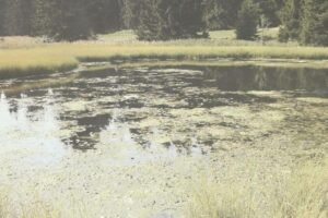 Svatovi ga prelazili, pa nestali bez traga! Ovo jezero na Goliji krije misteriju! Evo šta kažu legende