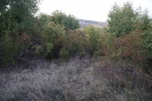 TRI OSOBE ZNALE DA JE MARIJA MRTVA! Pred smrt odali VELIKU TAJNU, misteriju rešila anonimna pisma!
