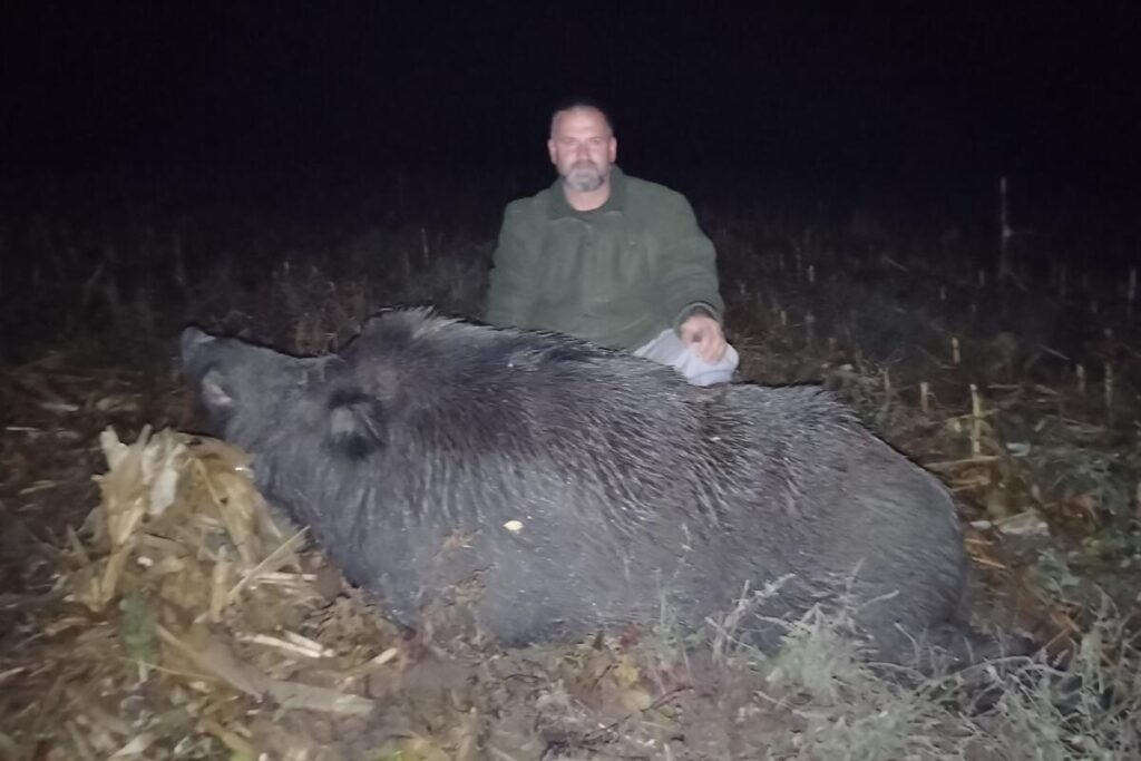 Ulovio grdosiju od skoro 300 kilograma: Dejan nanišanio jednog od najvećih veprova u Srbiji sa 130 metara! FOTO