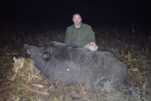 Ulovio grdosiju od skoro 300 kilograma: Dejan nanišanio jednog od najvećih veprova u Srbiji sa 130 metara! FOTO