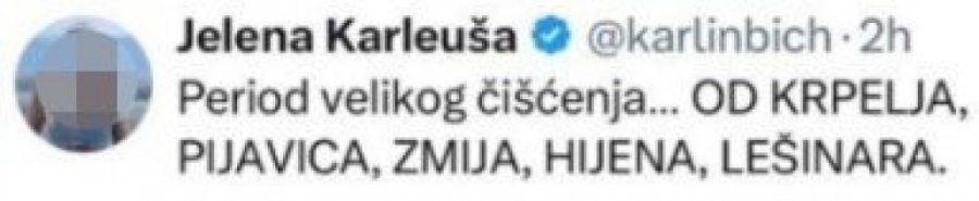 VELIKO ČIŠĆENJE OD HIJENA, KRPELJA I LEŠINARA! Jelena Karleuša BRUTALNO ZAGRMELA nakon raskola sa Birtaševićem!