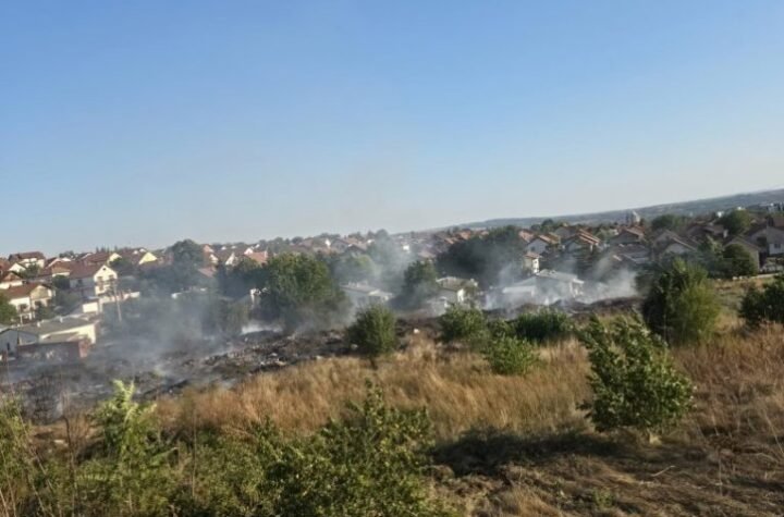 Veliki požar kod Umke: Vatra guta šumu i rastinje u Ruckoj, ogroman dim nadvio se nad naseljem