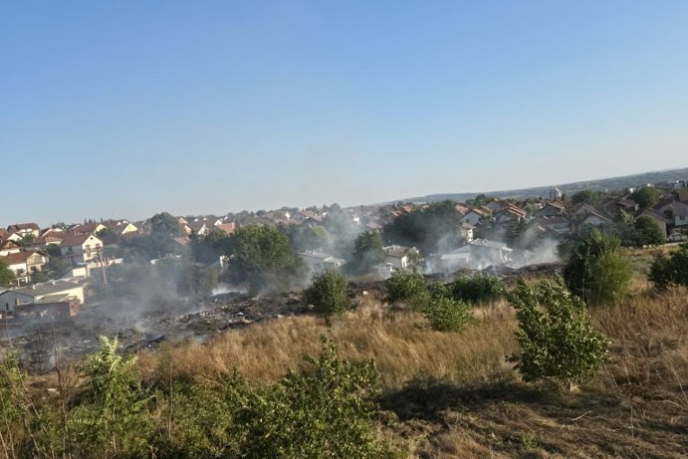 Veliki požar kod Umke: Vatra guta šumu i rastinje u Ruckoj, ogroman dim nadvio se nad naseljem